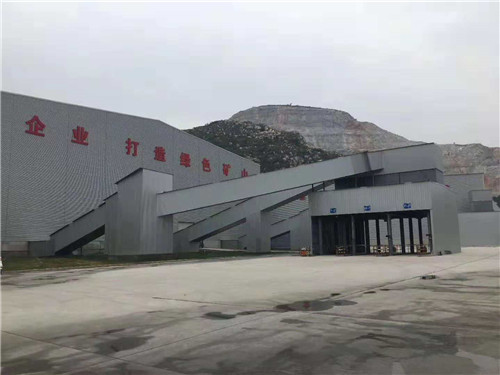 糖心视频在线观看
